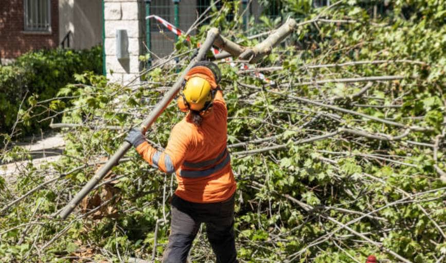 Krause Tree Service